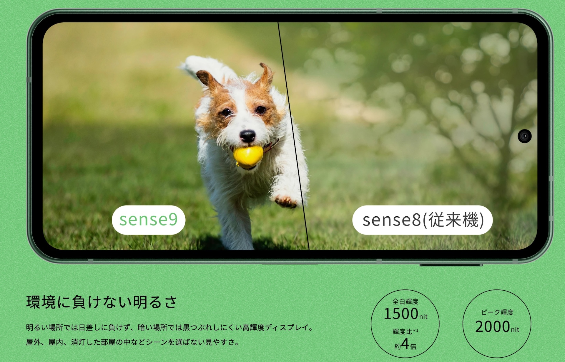 AQUOS sense9、ディスプレイ